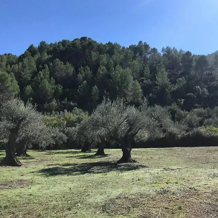 Paraiso Cuantico