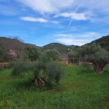 Летний дом Paraiso Cuantico