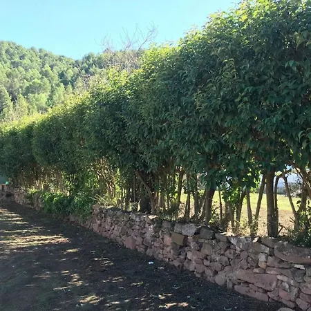 Paraiso Cuantico * Eslida