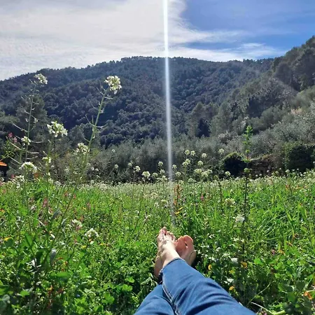 Paraiso Cuantico * Eslida