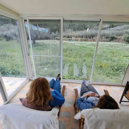 Paraiso Cuantico Летний дом Eslida