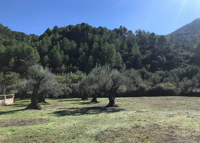 Paraiso Cuantico