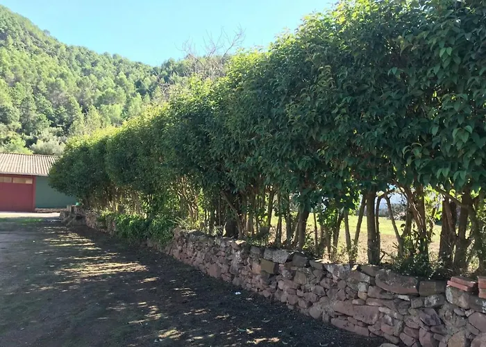 Paraiso Cuantico * Eslida