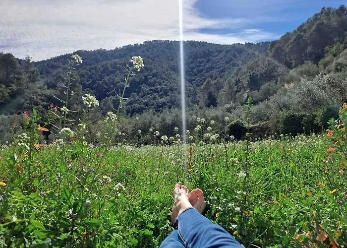 Paraiso Cuantico * Eslida